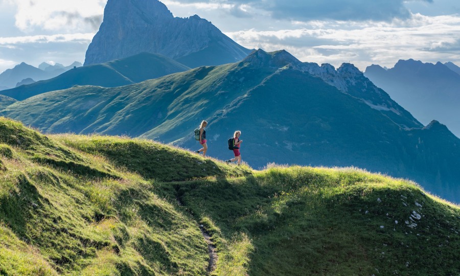 <p>Unterwegs zur Rotmooasalm: im Hintergrund die Gehrenspitze.</p>