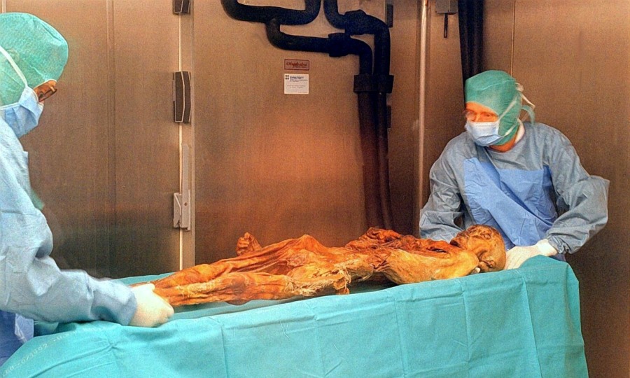 <p>"Ötzi" bei seiner Ankunft am 16.1.1998 im neu geschaffenen Archäologiemuseum in Bozen</p>