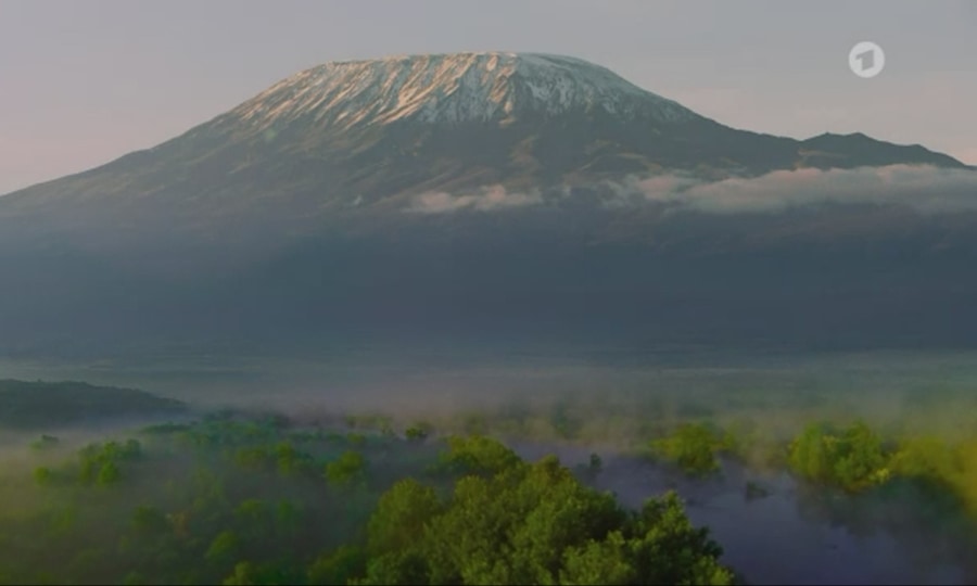<p><strong>Kilimandscharo – Reise ins Leben.</strong></p>