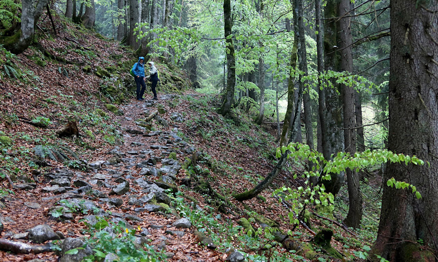 <p>Aufstieg im Regen zum Hirschberghaus.</p>