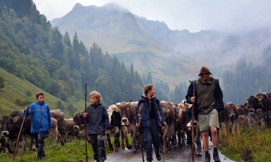<p>Langer Marsch: Florian Karg und seine Kinder müssen die Tiere beim Abtrieb über 20 Kilometer durch das Hintersteiner Tal führen. <strong>Der Traum von der Alp. 01.09., arte, 17.35 – 18.20 Uhr</strong></p>
