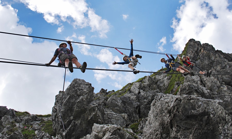 <p>Highlight des Walsersteigs: die 26 Meter lange Burmabridge.</p>