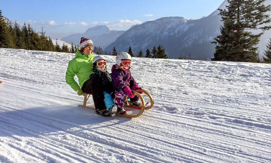 <p>Auf einem großen Hornschlitten haben sogar zwei (kleine) Kinder Platz.</p>