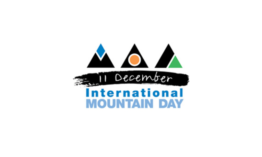 <p>Das Logo des "International Mountain Day".</p>