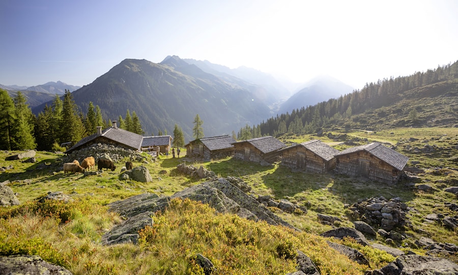<p>Leben und Arbeiten im Einklang mit der Natur. </p>