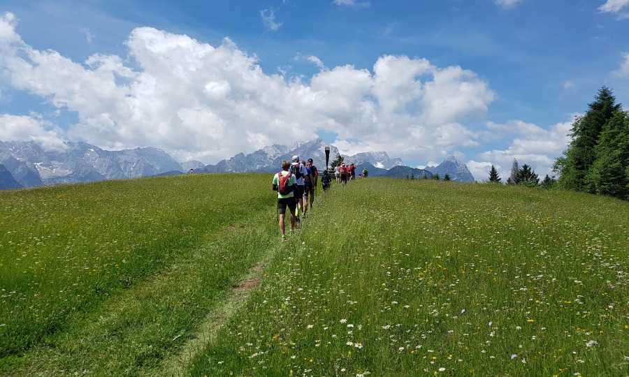 <p>Blühende Landschaften:  Auf dem Wamberger Rücken locken imposante Aussichten und durftende Alpenflora.</p>