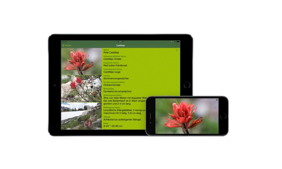 <p>Die App "Rockies Alpine Flower Finder".</p>