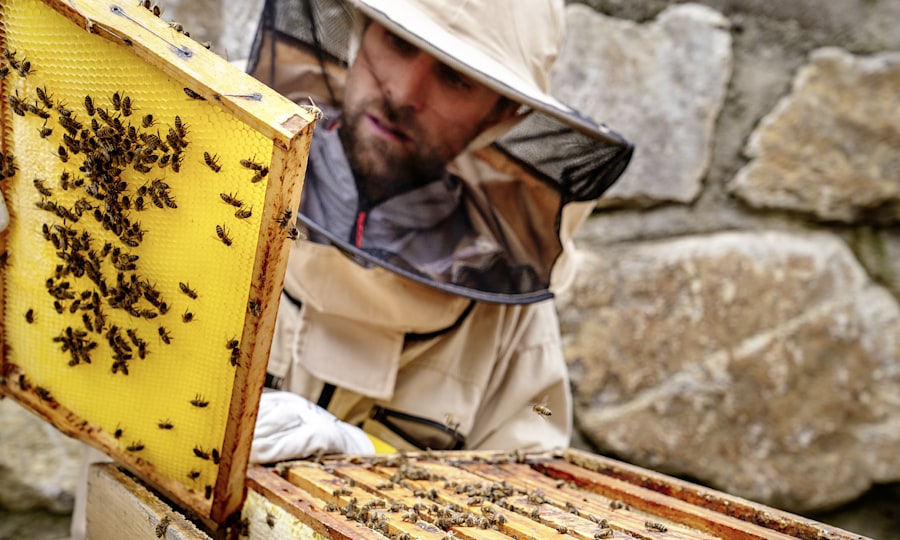 <p>Vitto zu Hause beim Imkern.</p>