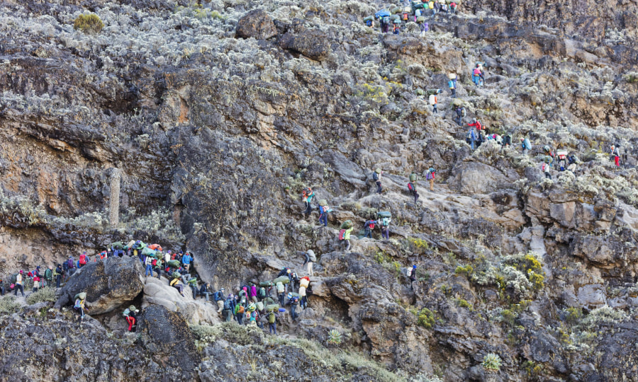 <p>Am Kilimandscharo ist immer viel los: Wanderer und Träger an der "Barranco Wall".</p>