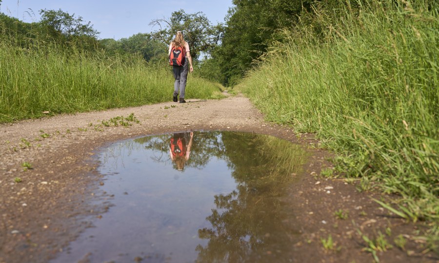 <p>Solche Wasserlachen sind wahre Brutstätten für Stechmücken.</p>