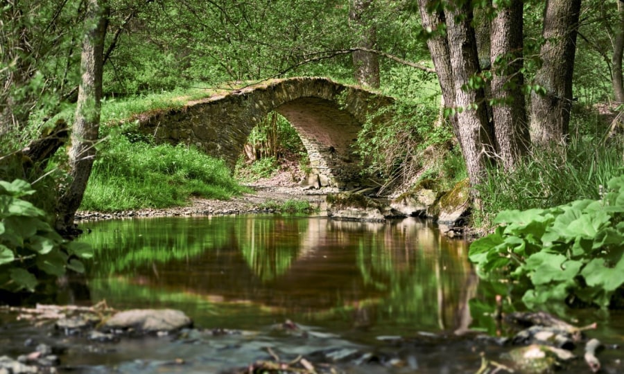 <p>Wild-romantisch: die Schafbrücke im Burgsteingebiet.</p>