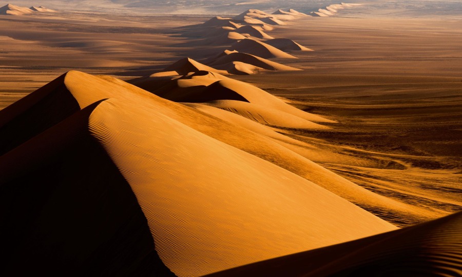 <p>"Planet Wüste" von Michael Martin</p>