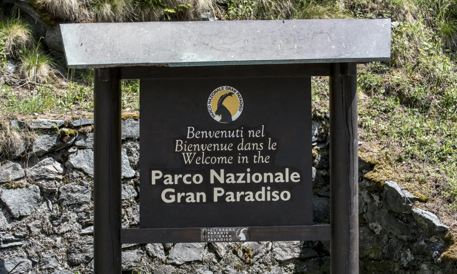 <p>Nationalpark Gran Paradiso: Unterwegs im Land der Steinböcke.</p>