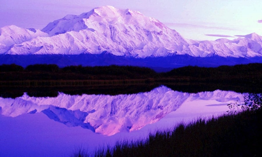 <p>Im Zauber der Wildnis - Alaskas Majestät, der Denali National Park</p>