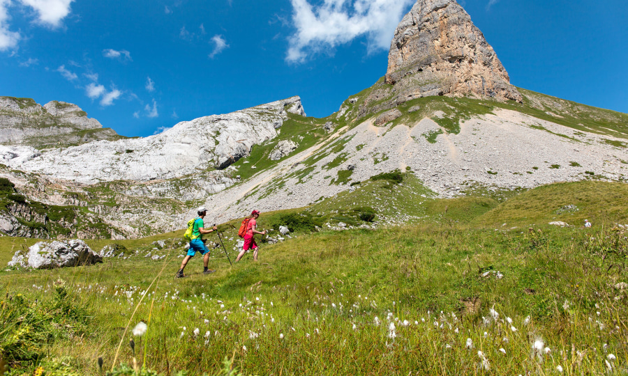 <p>Fels in allen Farben und Formen: Hinter einem saftigen Hochmoor erheben sich die bizarren Gipfel von Roßkopf (r.), Seekarlspitze und Spieljoch, die unterschiedlicher nicht sein könnten.</p>