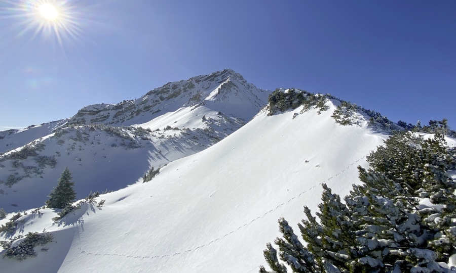 <p>Auf Skitour in den Ammergauer Alpen: Die Scheinbergspitze</p>