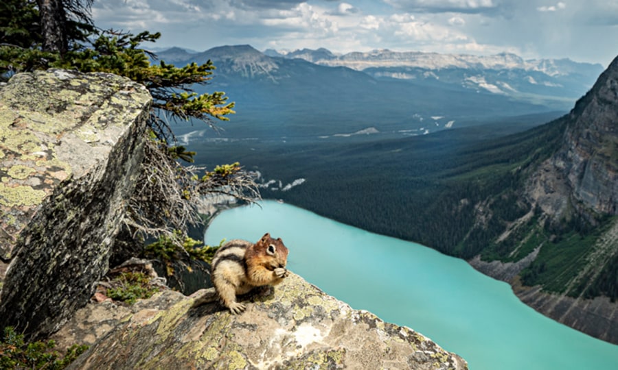 <p>Lake Louise in den kanadischen Rocky Mountains</p>