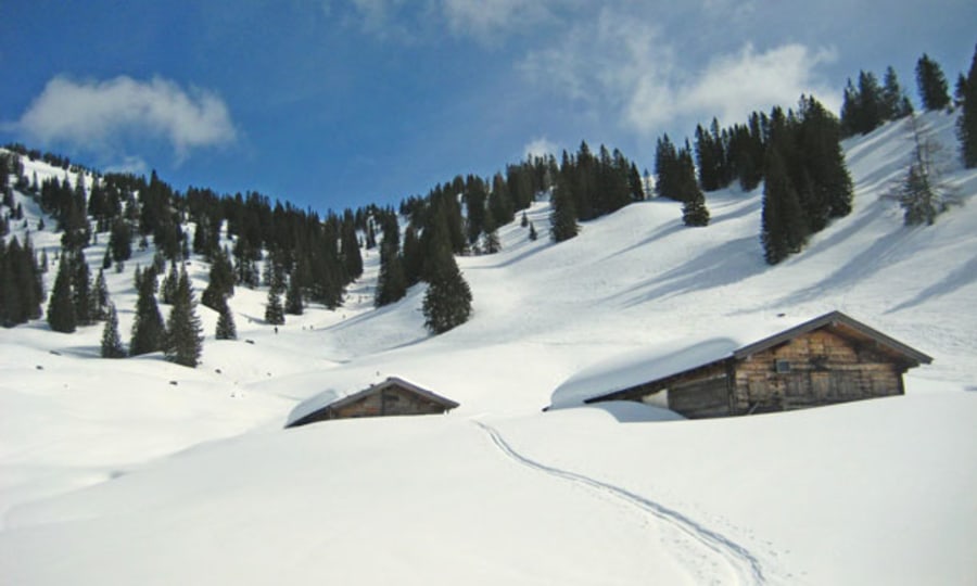 <p>Hütten der Hochalm, im Hintergrund die Waldschneise Richtung Gipfelhang.</p>