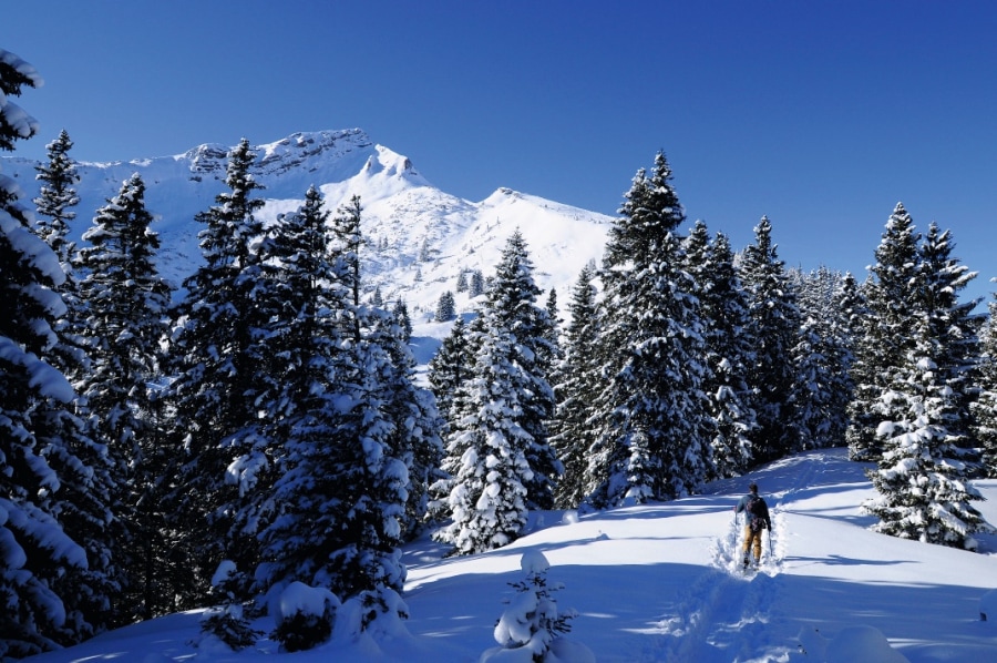 Skitour auf die Scheinbergspitze in den Ammergauer Alpen