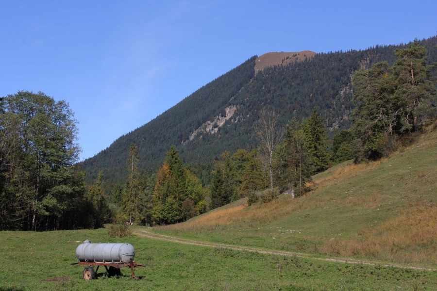 Bergwanderung zum Hirschhörndlkopf in den Bayerischen Voralpen