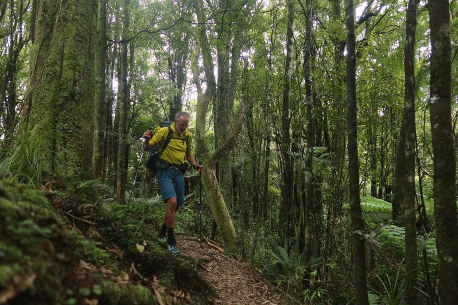 Te Araroa Trail: Tararua Range