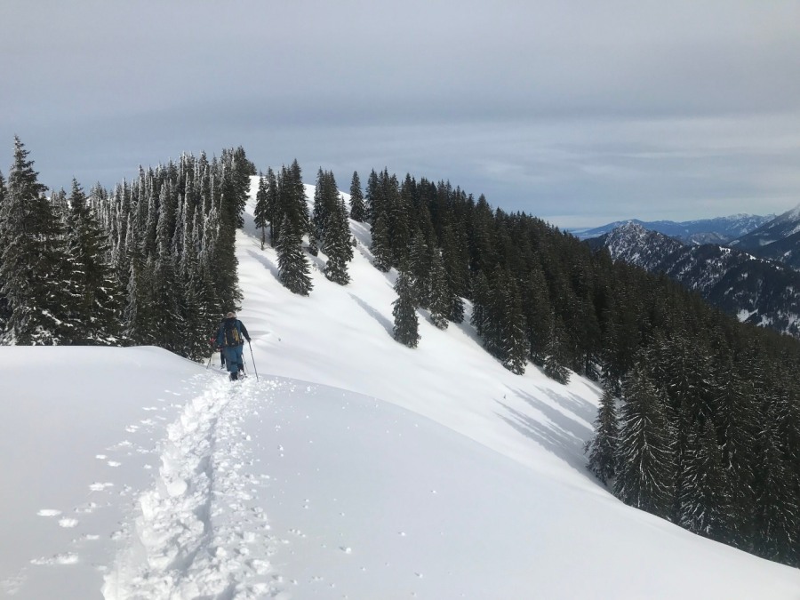 Schneeschuhtour aufs Wertacher Hörnle über die Heisenloch Alpe