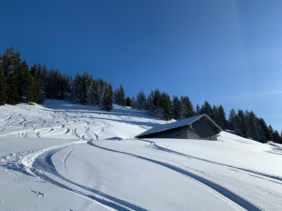 Skitour aufs Riedberger Horn in den Allgäuer Alpen