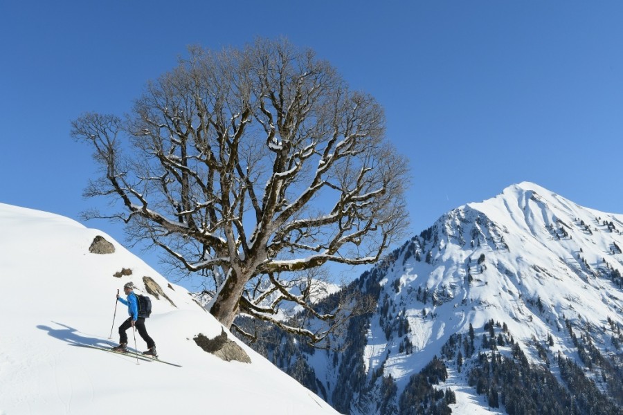 Skitour auf den Toblermann im Lechquellengebirge