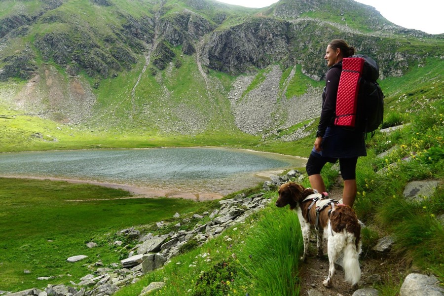 Bergtour von Sportgastein zum Niedersachsenhaus in den Hohen Tauern