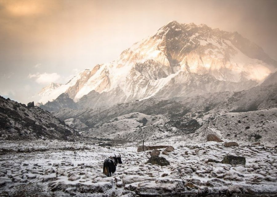 Fotogalerie: Der Himalaya-Kalender 2016