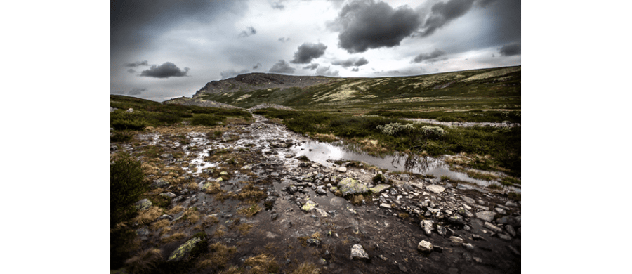 Christoph Ruthrof: Wildes Norwegen - Dovrefjell Nationalpark