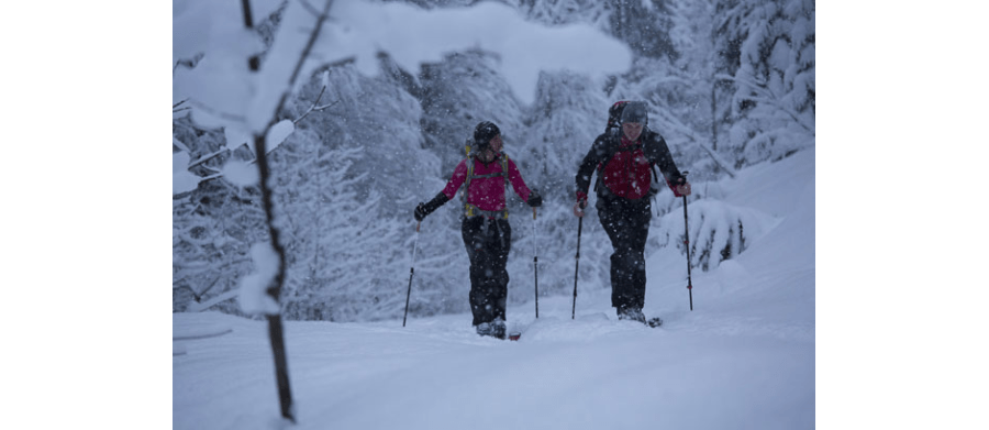 Titelstory aus ALPIN 12/2013: Abenteuer Heimat - mit Ski