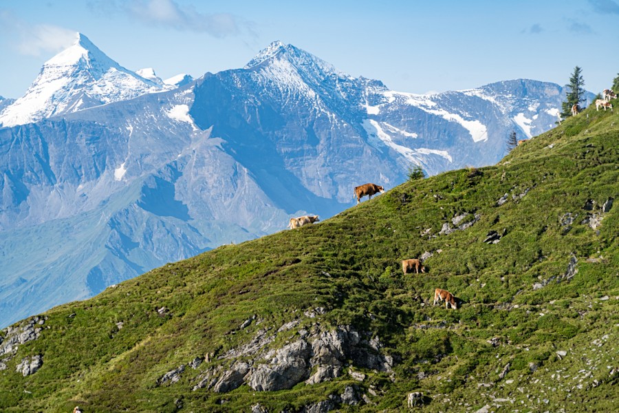 Alpenüberquerung Salzburg Triest, Etappen 8-14, Statzerhaus- Greifenburg
