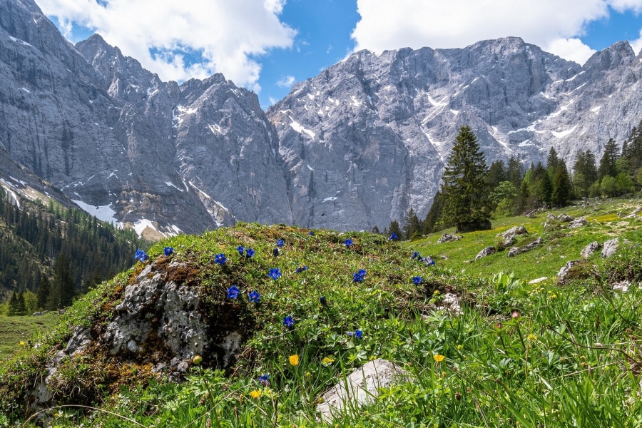 Fotowettbewerb "Endlich Frühling": Die Siegerbilder der Community