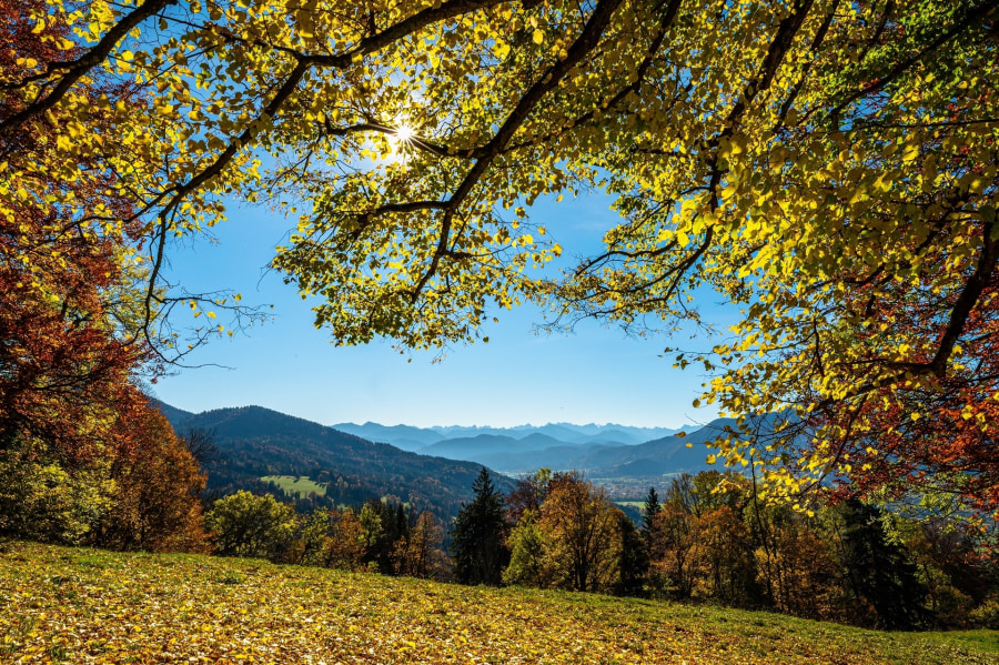 Fotowettbewerb "Die schönsten Farben im Herbst": Die Siegerbilder der Community