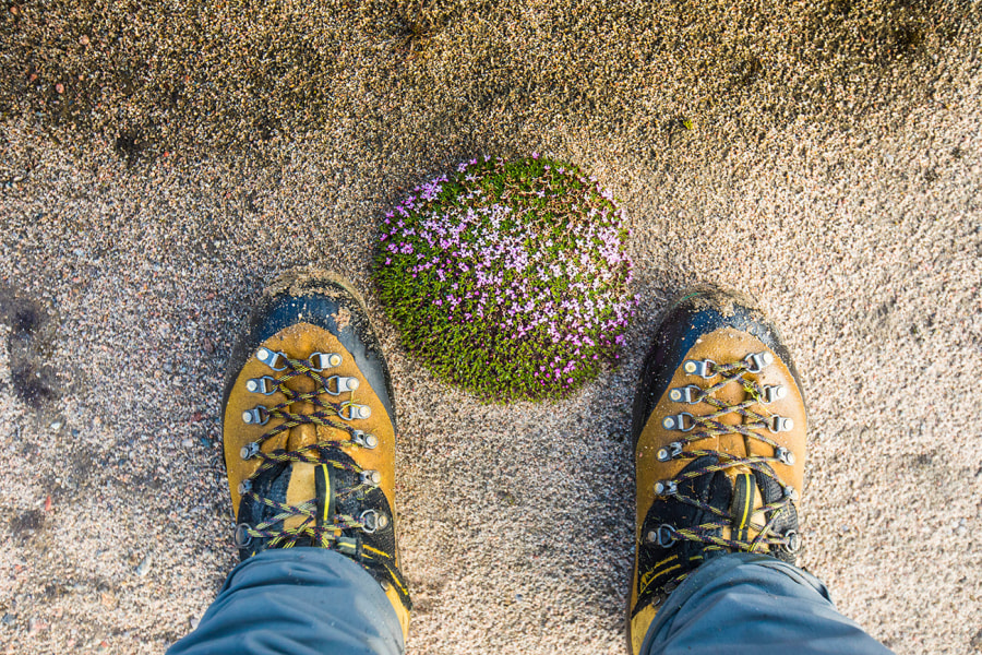 Bergschuhe: Darauf müsst ihr beim Kauf achten!