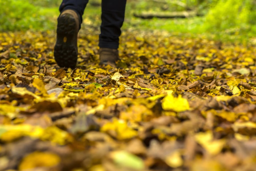 Bergtouren im Herbst: Vier Tipps vom DAV