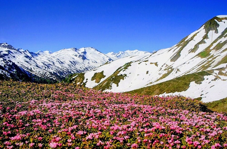 Frühling trifft Winter 